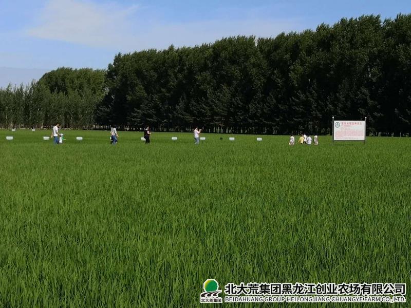 夏耘.jpg