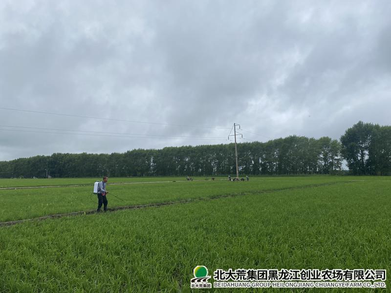 微信图片_20220705151700_副本.jpg