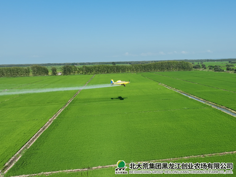 115862cd987575b40c559d9ab916512_副本_副本.png
