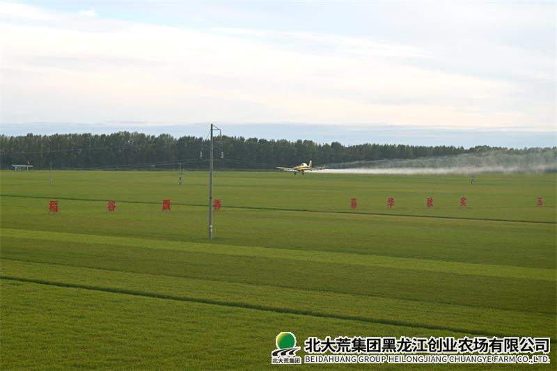 mmexport1724494057480.jpg