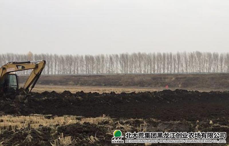 创业多措并举守护“耕地中的大熊猫”
                            (图2)