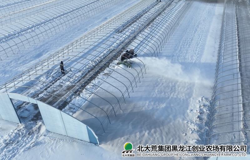 【备战春耕】创业农场有限公司抢抓农时 多措并举备春耕
                            (图1)