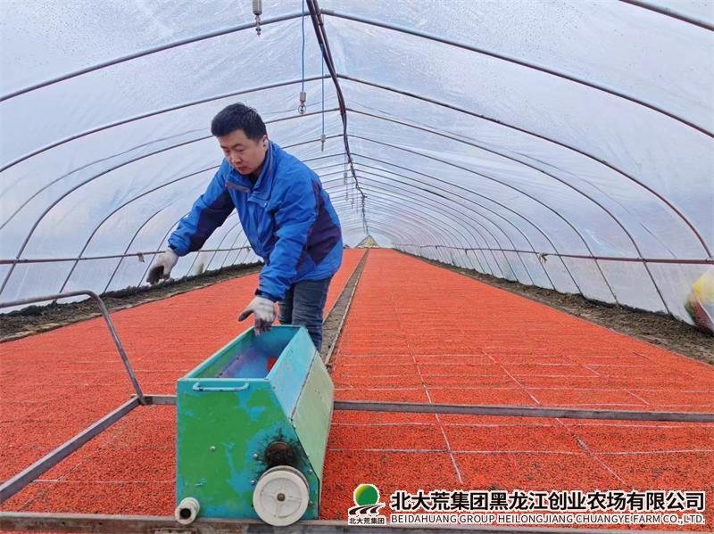 创业农场有限公司春耕正当时 水稻播种育秧忙
                            (图1)