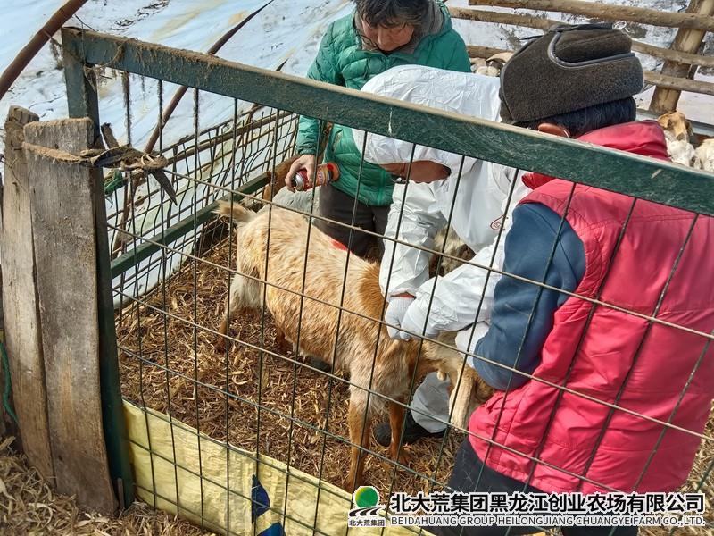 畜牧部门持续推进春防工作
                            (图2)