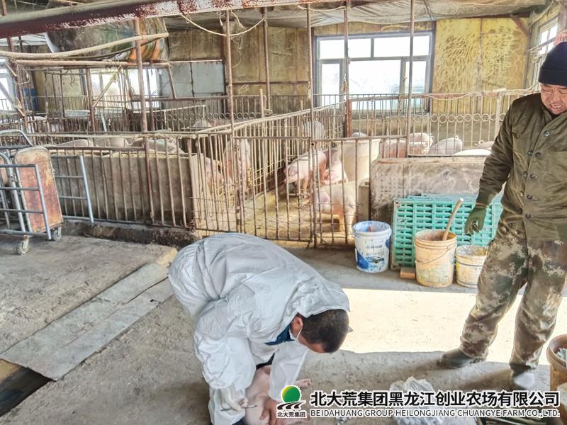 畜牧部门持续推进春防工作
                            (图1)