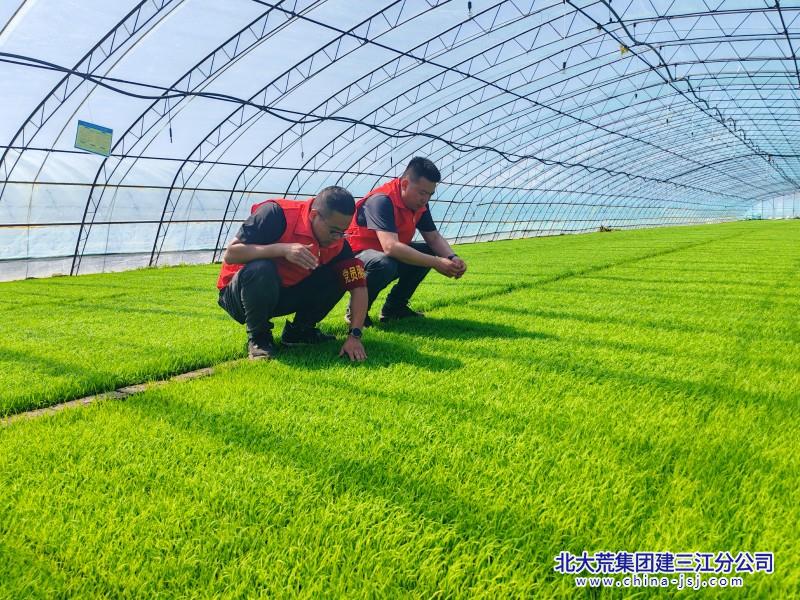 青龙山农场有限公司“三单式”服务赋能春耕高效推进(图2)