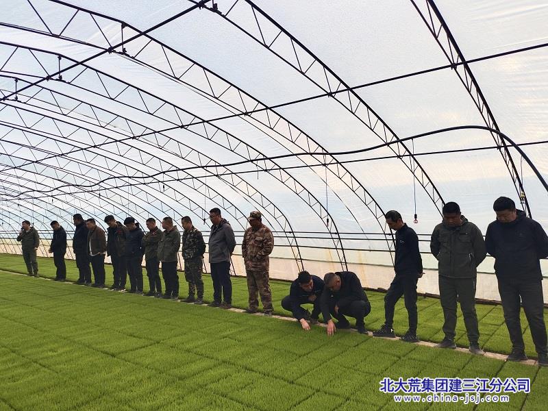 大兴农场有限公司“以会促干”全面提升水整地及秧田管理工作质量(图2)