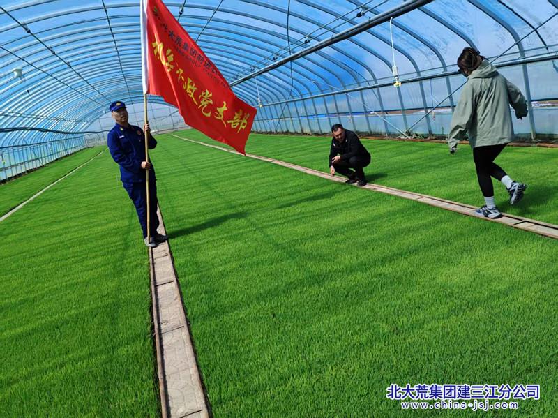 前进农场有限公司党员下沉助农忙 春耕生产添动力(图2)