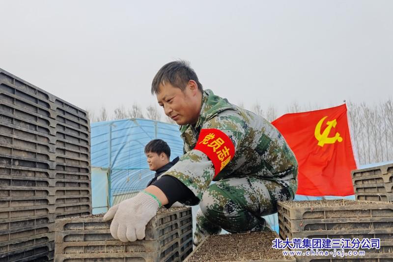 党员干部助力春耕生产，帮助种植户摆盘。.jpg