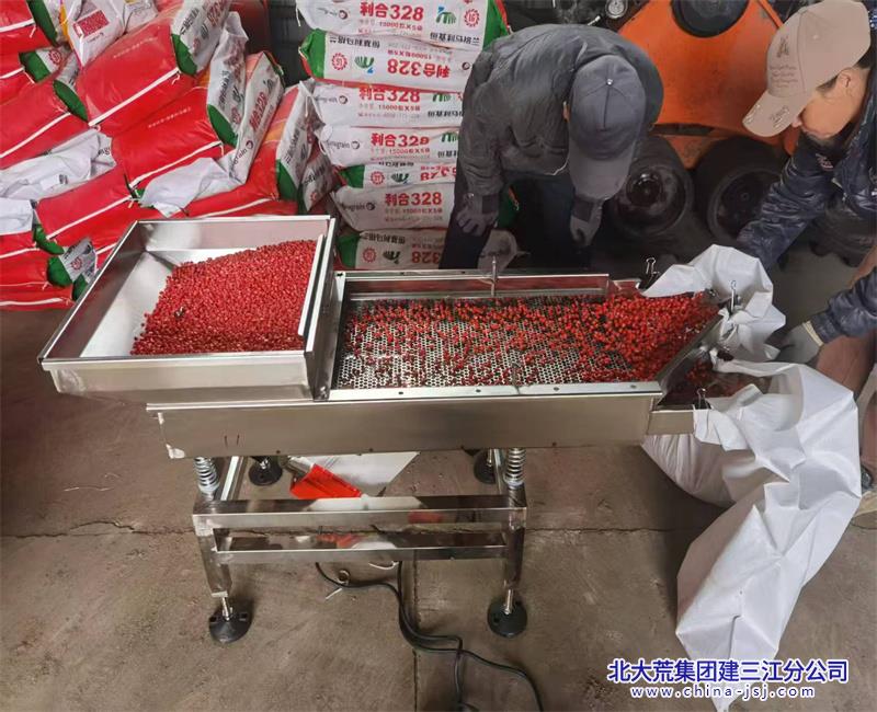 勤得利农场有限公司精细、精量、高标准开启旱田播种工作(图2)