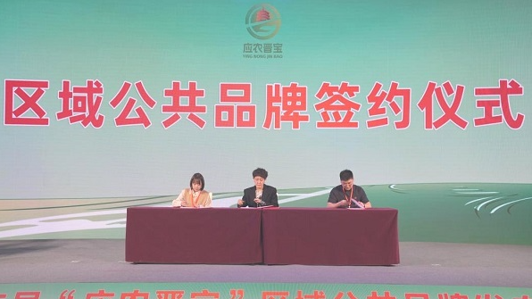 从价格保险到期货对冲，探索小农户对接大市场的风控路径‌