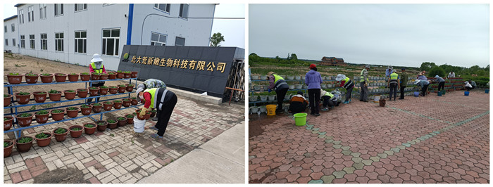 【工作落实年】嫩江农场有限公司：民生服务"小切口" 扮靓城镇"新底色"(图3)